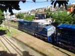 RUMO 9596